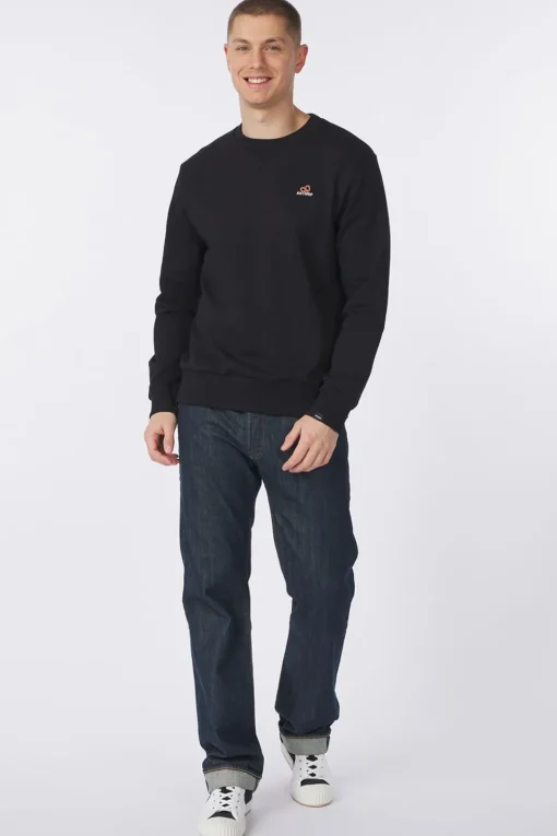Antwrp Trui Bsw401-L008