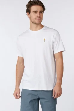 Antwrp T-Shirt Bts 430  As