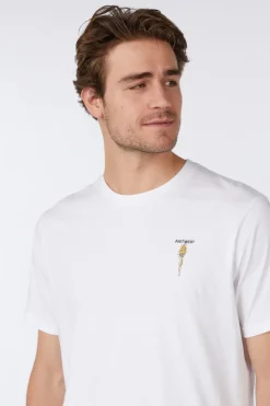 Antwrp T-Shirt Bts 430  As
