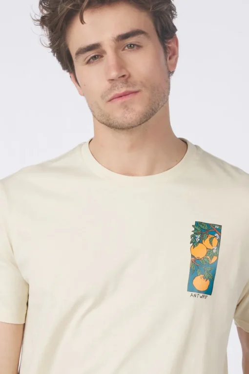 Antwrp T-Shirt Bts420-L001S