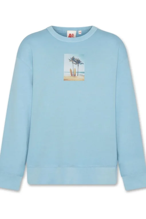 AO76 Trui Oscar Beach