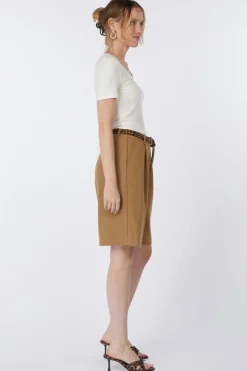 AWARE Short Passi