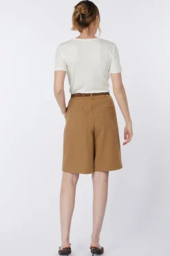 AWARE Short Passi