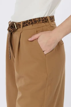AWARE Short Passi