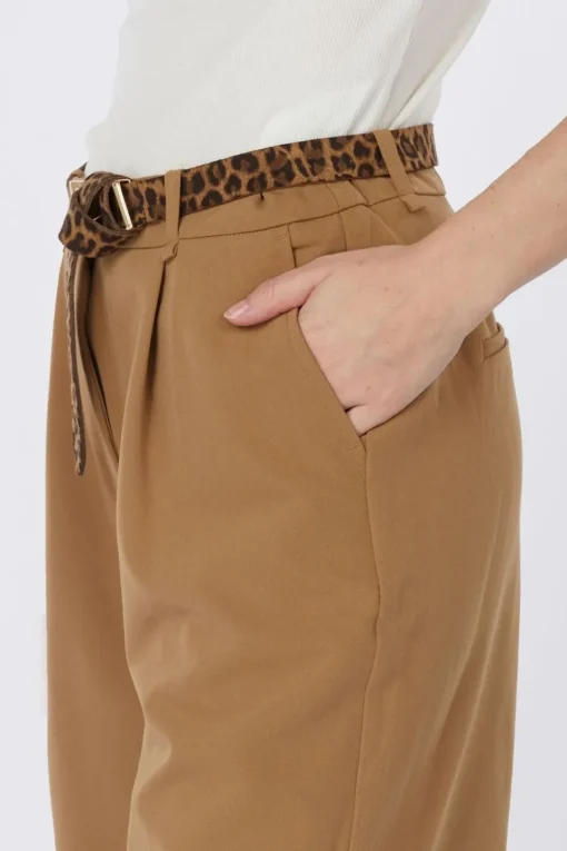 AWARE Short Passi