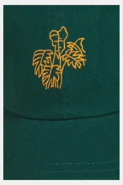 Ayacucho Pet Flora Baseball Cap W
