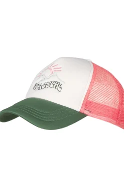Ayacucho Pet Sierra Trucker