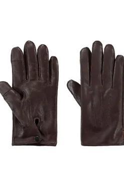 Barts Handschoenen Birdsville Gloves