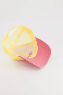 Chamaye Pet Cas-Trucker-Amour Fou