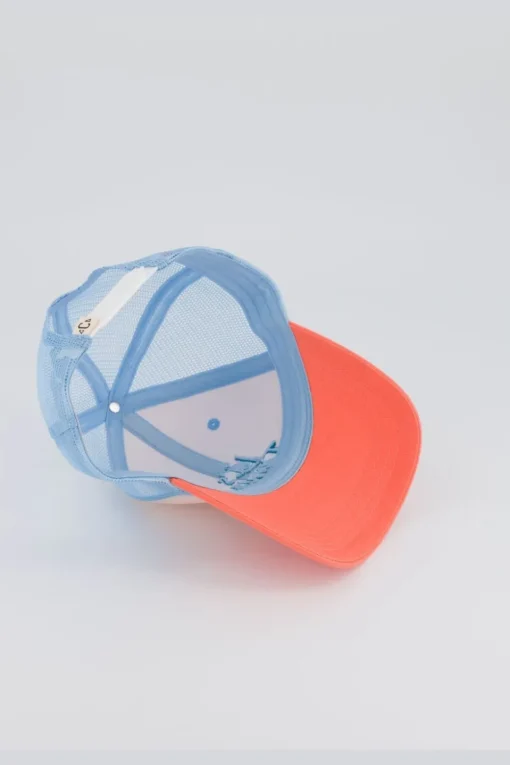 Chamaye Pet Cas-Trucker-Dance