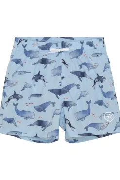 Color Kids Zwemshort Swims