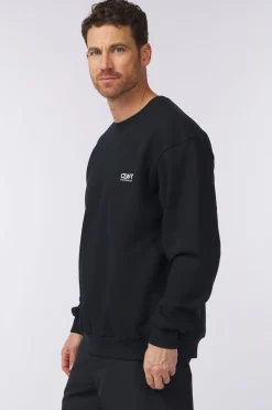 Colourwear Trui M Core Crew