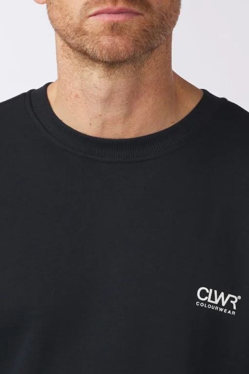 Colourwear Trui M Core Crew