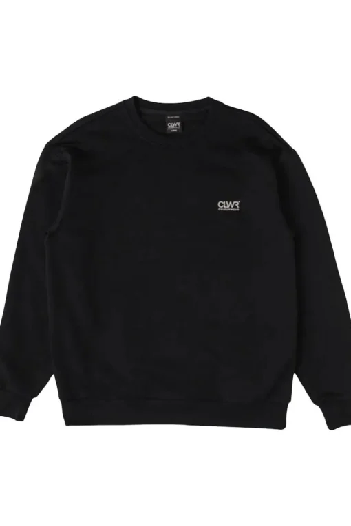 Colourwear Trui M Core Crew