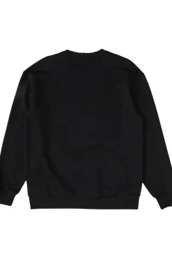Colourwear Trui M Core Crew