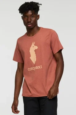 Cotopaxi T-Shirt Cotopaxi Llama T