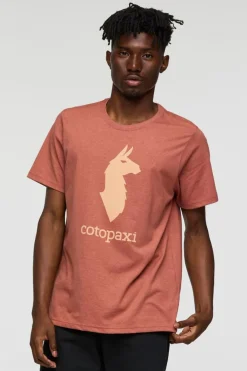 Cotopaxi T-Shirt Cotopaxi Llama T