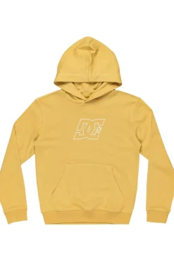 DC Shoes Trui Pallet Ph Boy
