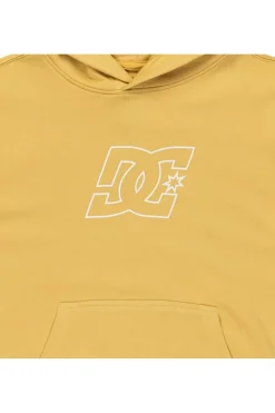 DC Shoes Trui Pallet Ph Boy