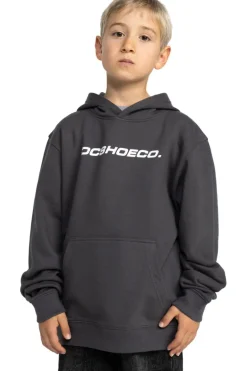 DC Shoes Trui Whereabouts Ph Boy