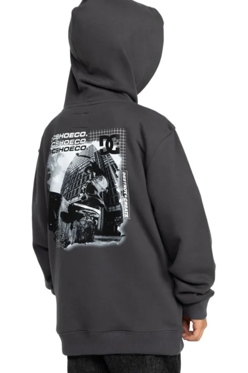 DC Shoes Trui Whereabouts Ph Boy