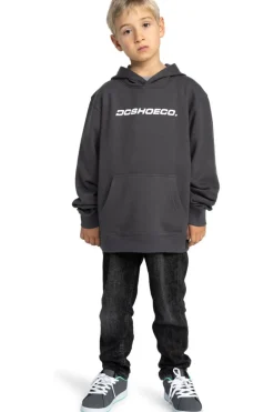 DC Shoes Trui Whereabouts Ph Boy