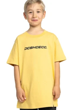 DC Shoes T-Shirt Whereabouts Ss Boy