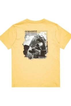 DC Shoes T-Shirt Whereabouts Ss Boy