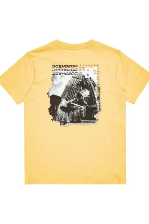 DC Shoes T-Shirt Whereabouts Ss Boy