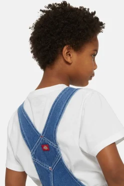 Dickies Broek Denim Bib Overall K Indigo
