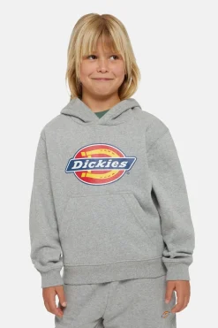 Dickies Trui Icon Logo Hoodie K Heather Grey