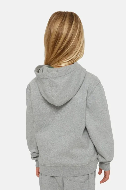 Dickies Trui Icon Logo Hoodie K Heather Grey