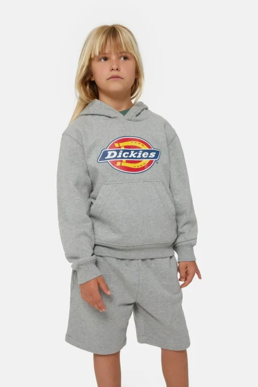 Dickies Trui Icon Logo Hoodie K Heather Grey