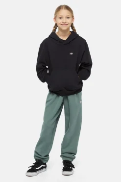 Dickies Trui Oakport