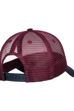 Element Pet Icon Mesh