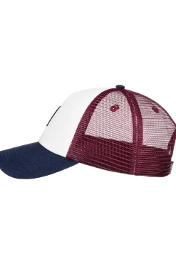 Element Pet Icon Mesh