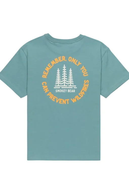 Element T-Shirt Sbxe Remember