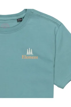Element T-Shirt Sbxe Remember