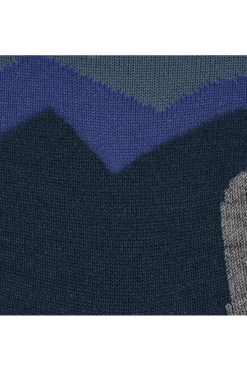 FALKE Sokken Tk2 Crest