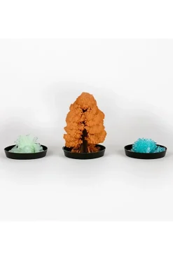 Gift Republic Speelgoed Diy Grow Your Own Crystals Kit