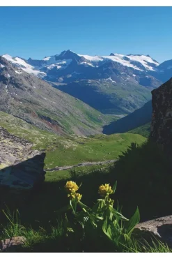 Glenat Boek Treks Dans Les Parcs Nationaux Des Alpes - Itinérances De 4 À 7 Jours Dans Ces Territoires D'Excepti