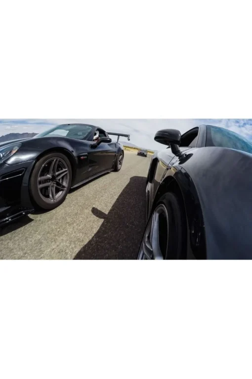 GoPro Accessoire Suction Cup Mount+