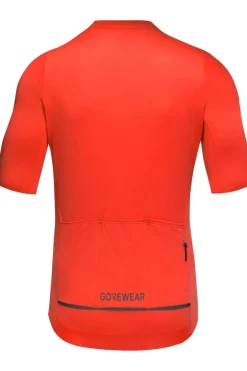 GOREWEAR T-Shirt Distance Jersey Mens