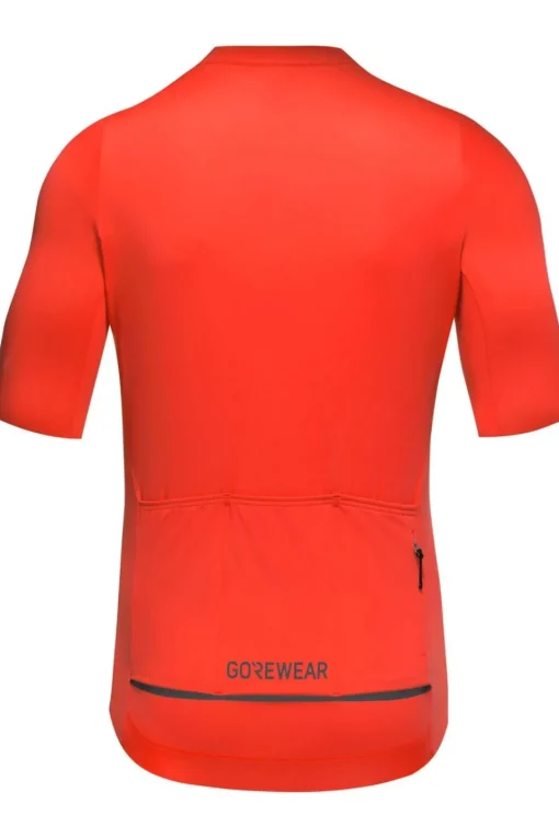 GOREWEAR T-Shirt Distance Jersey Mens