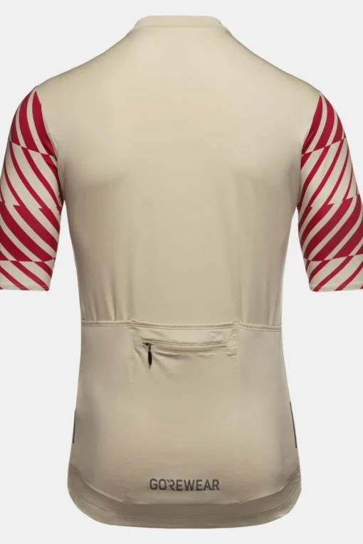 GOREWEAR T-Shirt Swiftride Optical Jersey Mens