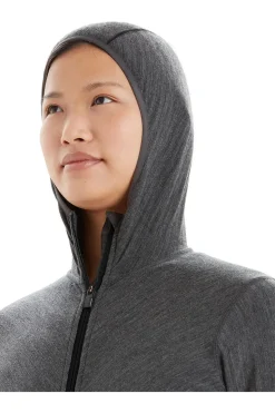 icebreaker Fleece Descender Ls Zip Hood
