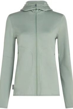 icebreaker Fleece Merino 560 Realfleece Elemental Ls Zip Hoodi