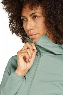 icebreaker Fleece Merino 560 Realfleece Elemental Ls Zip Hoodi