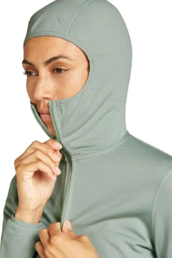 icebreaker Fleece Merino 560 Realfleece Elemental Ls Zip Hoodi
