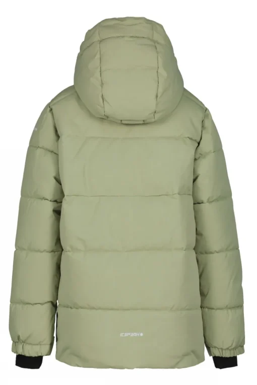 Icepeak Ski-Jas Louin Jr